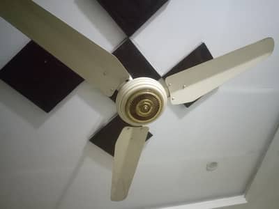 Ceilling Fan
