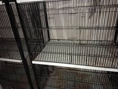 birds cage 4 partition