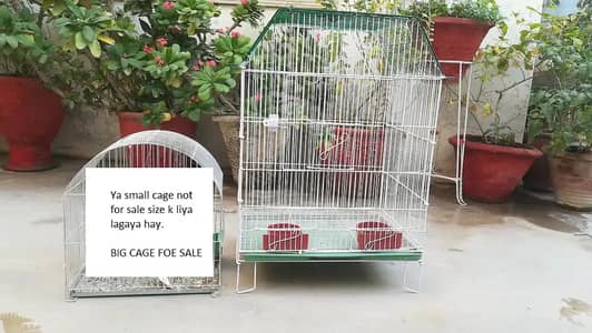 Austalian parrots cage