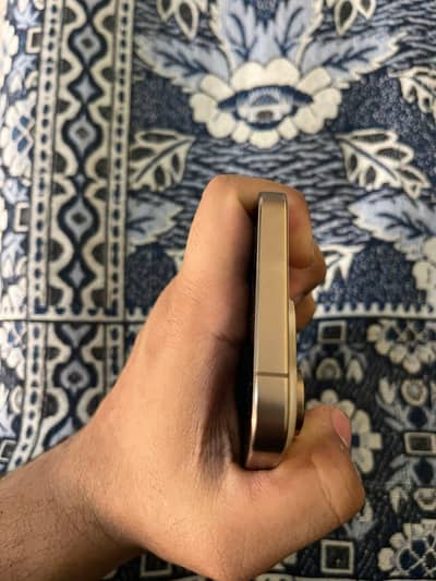 iPhone 16 Pro Max (Dead)