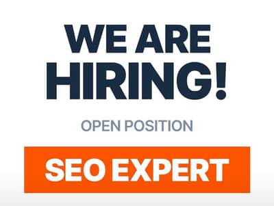 SEO Expert Needed