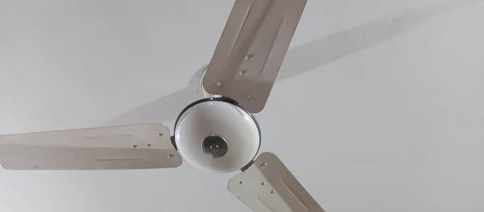 i want to sell 4 selling fans working awesome  Cooper  wineding