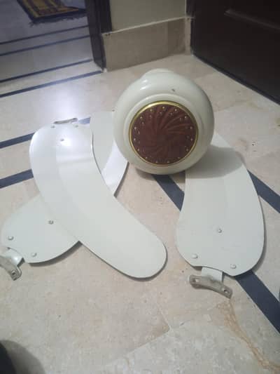 GFC Fans coper  waending