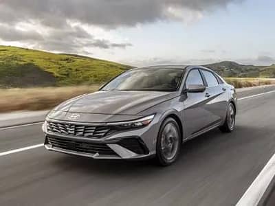 senior SEO executive