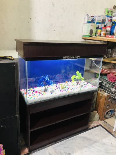 3fit fish aquarium with all asasries 03114440283