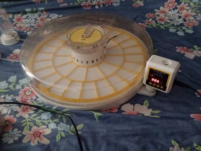 35 eggs automatic incubator