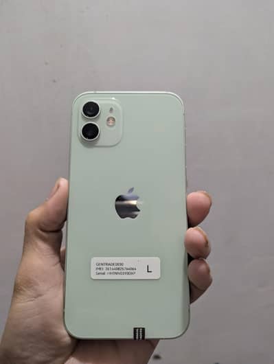 iPhone 12 (factory unlocked)