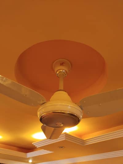 SK Ceiling Fan in  Copper Winding