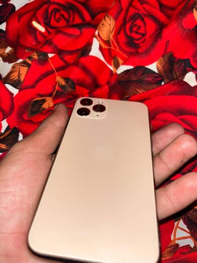 iphone 11 Pro (exchange possible)