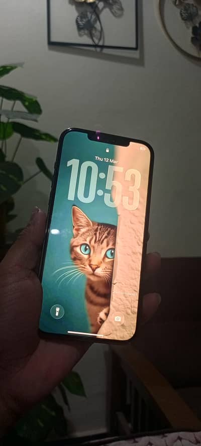 iphone 12 pro max jv 256 gb