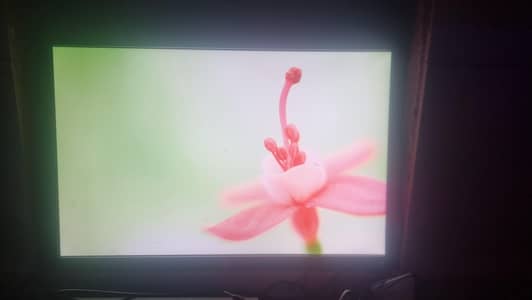 24 Inch Monitor For Sale Urgent