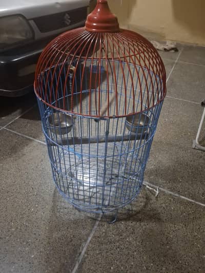 cage for sale ( for alexendrine'african greay and macaw)