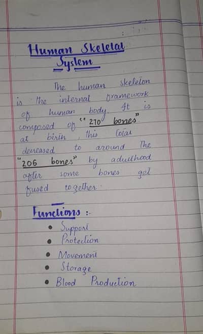 Professional Handwritten Assignments & Medical Diagrams