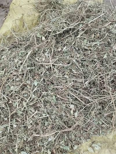 بکریوں کی بہترین اور سستی خوراک