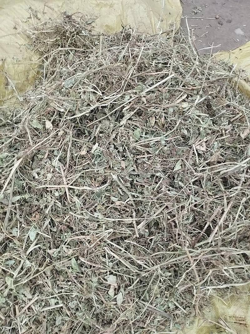 بکریوں کی بہترین اور سستی خوراک 1