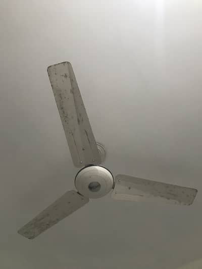 3 ceiling fans for urgent sale