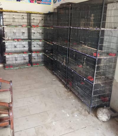 birds cages 5 piece 3 folding 2 fix