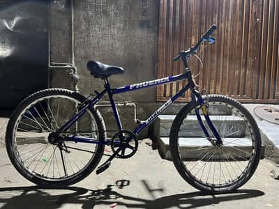 ponies cycle comfortably seats and back seat be ha