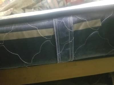 metters 8 inch spring wala