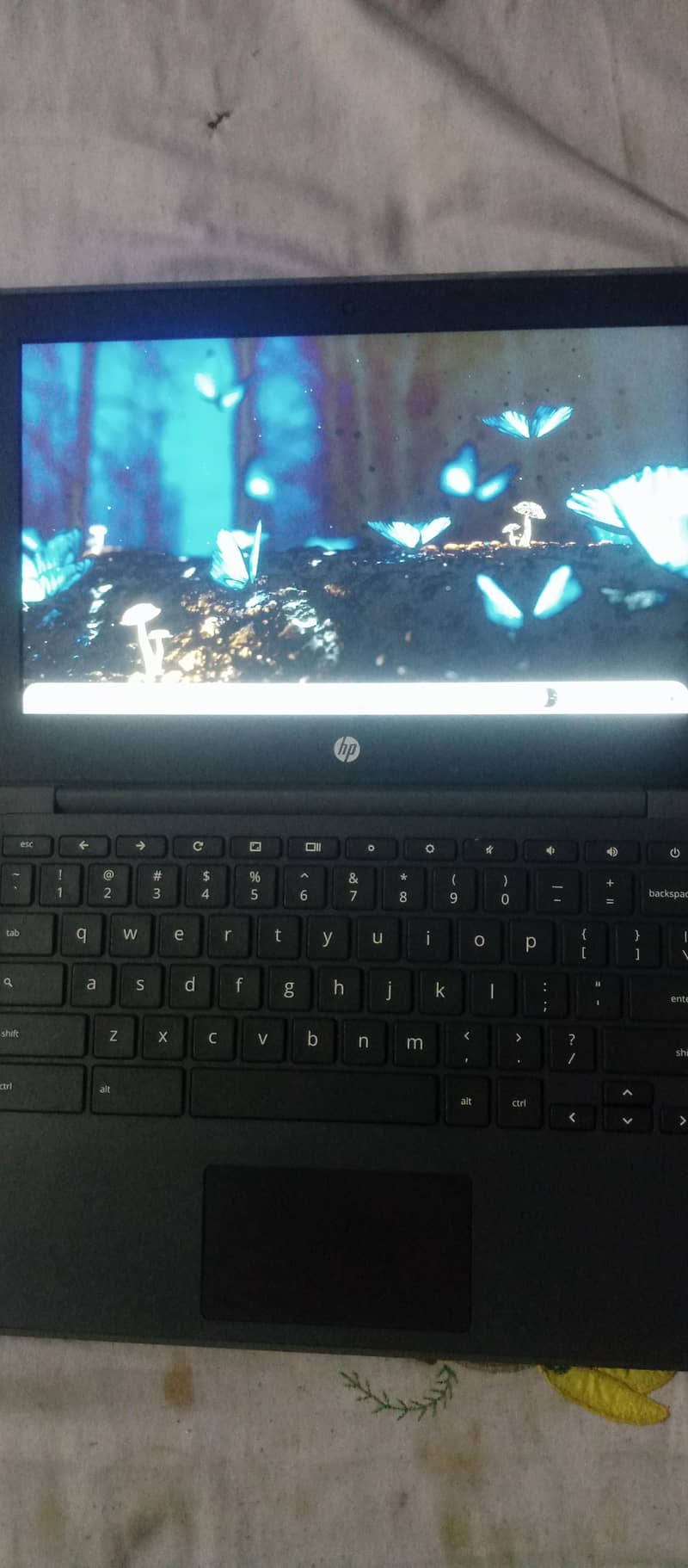 laptop 3
