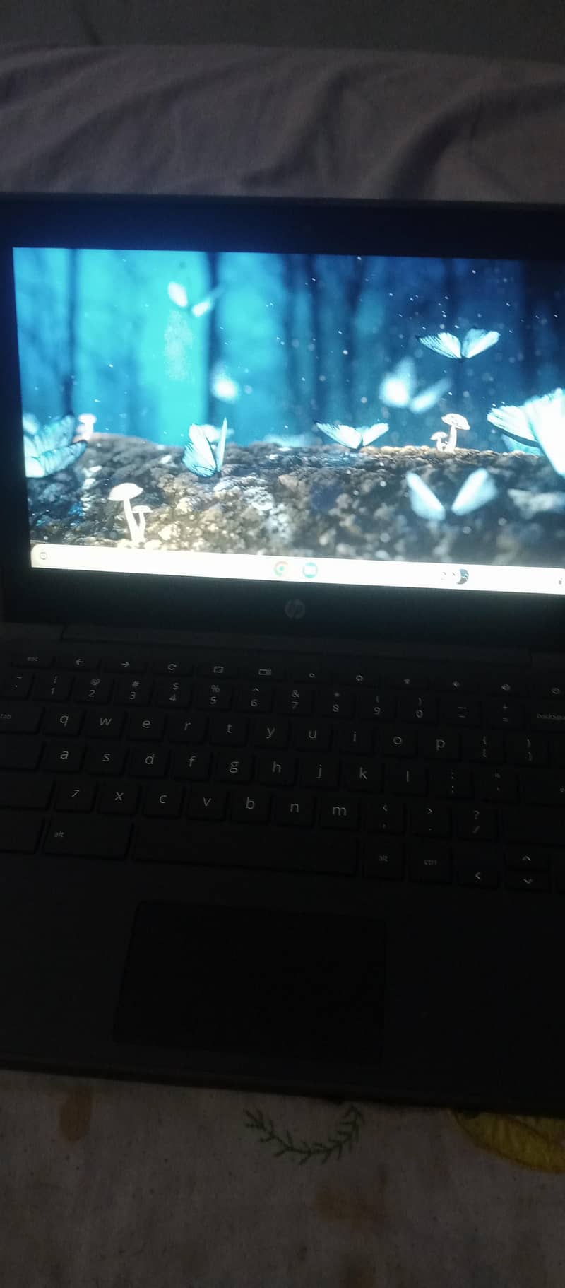 laptop 4