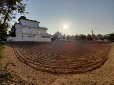 5 Marla Prime Location Plot Available For Sale