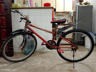 mountain bike sale