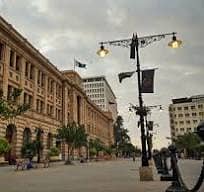 CLEARING FORWADING SERVICES