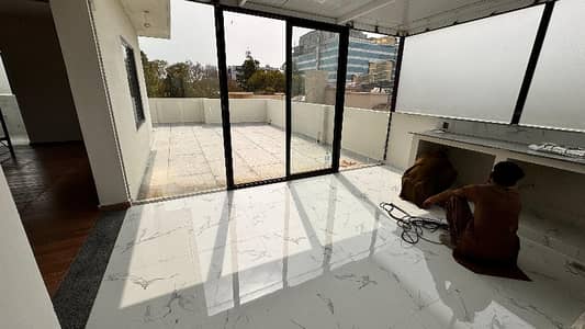 Luxurious, Brand new Fully Furnished, Independent Upper Portion roof top with swimming pool