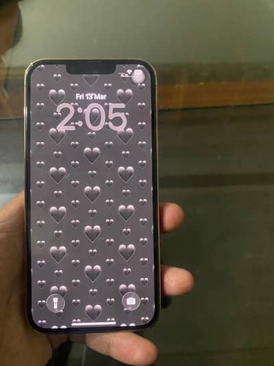 iPhone 13 pro  non pta