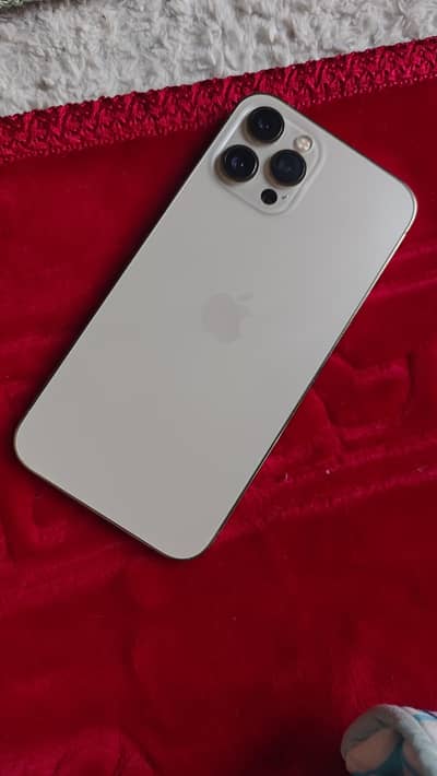 iPhone 12 Pro Max 256gb Pta Approved