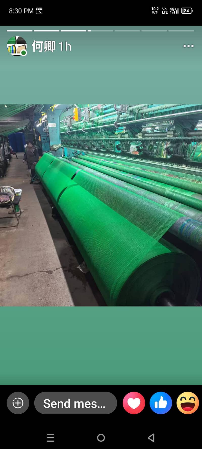 green net 5