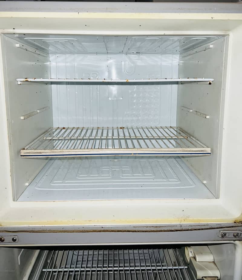 Medium size fridge 2