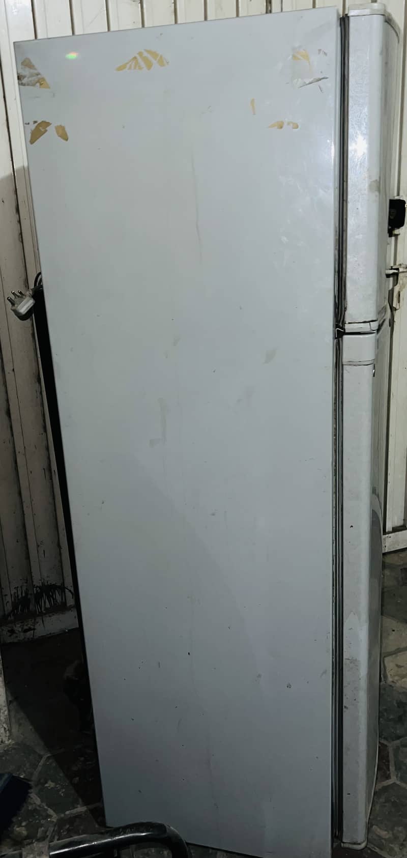 Medium size fridge 3