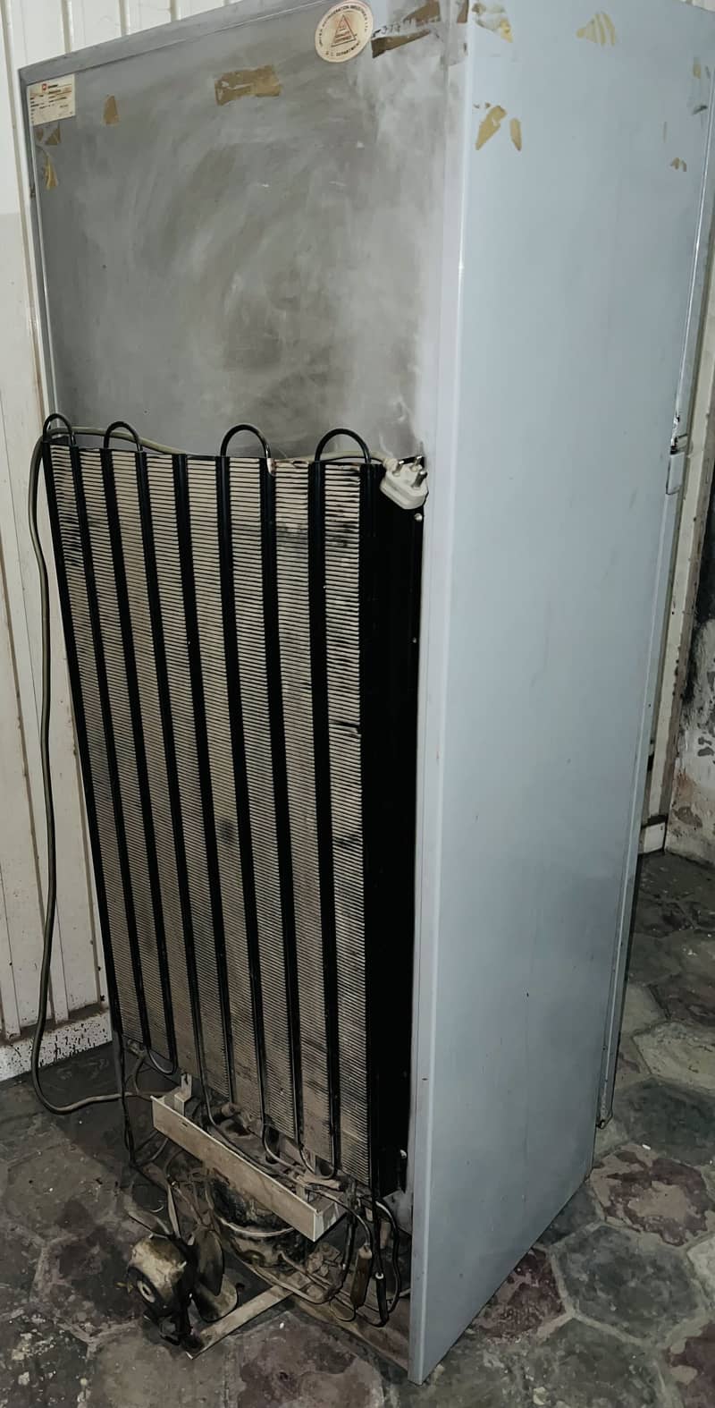 Medium size fridge 4