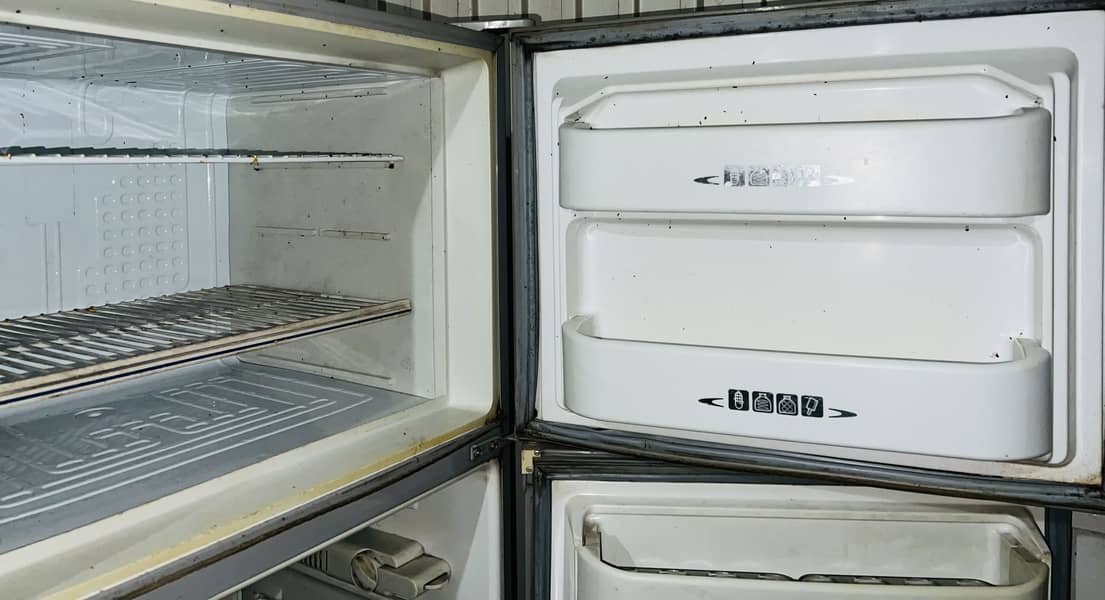 Medium size fridge 7