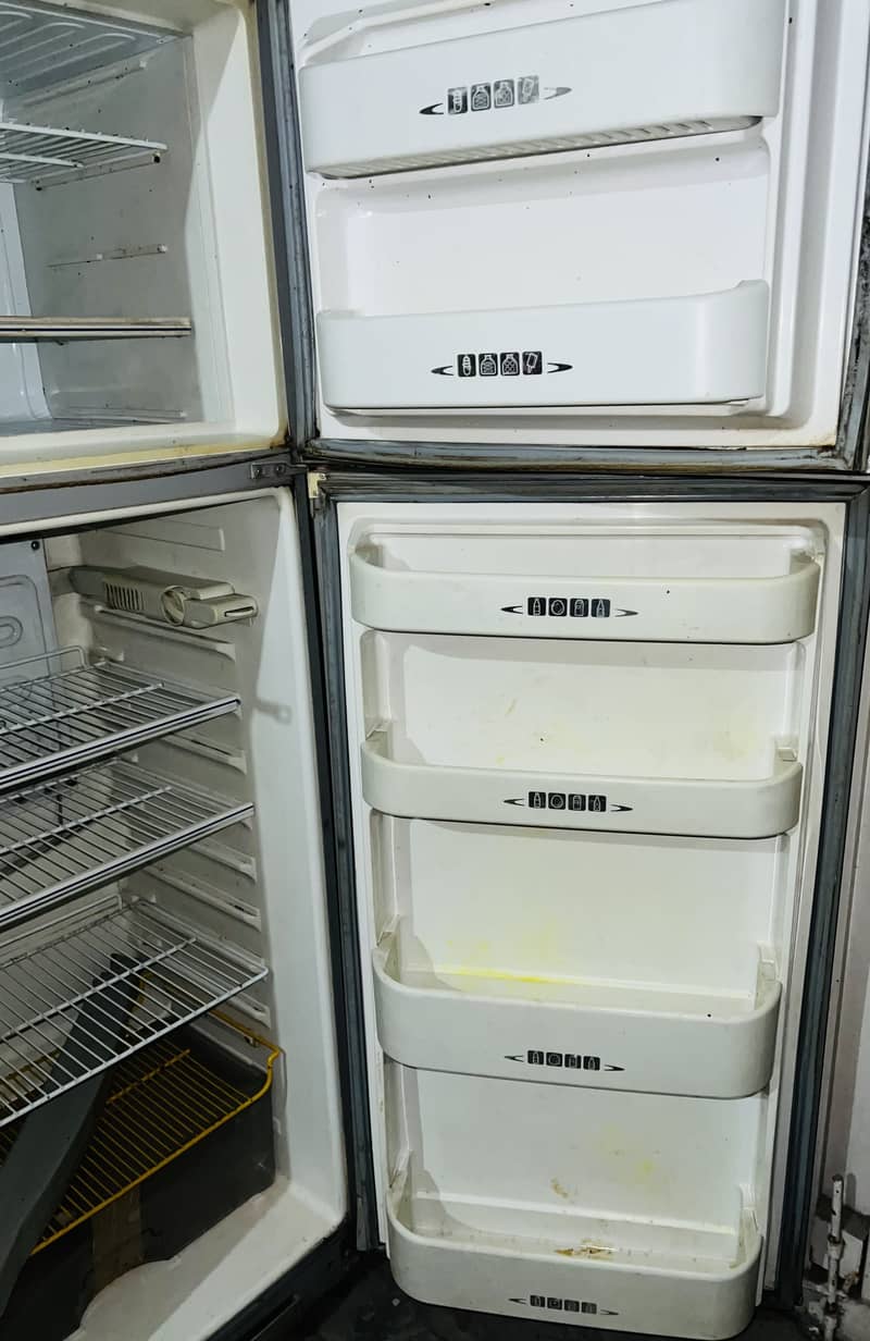 Medium size fridge 8