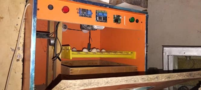 incubator Auto full for sale