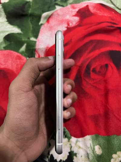 iPhone 11 Pta Approved 10/10