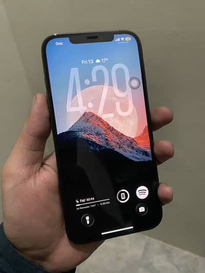 Iphone 12 pro max PTA Approved