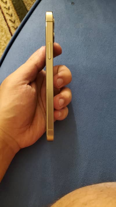 iPhone 12 Pro 256 gb pta approved