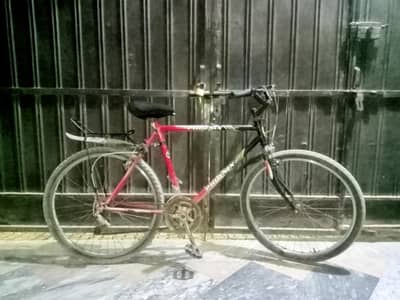 adults big sports pheonix cycle
