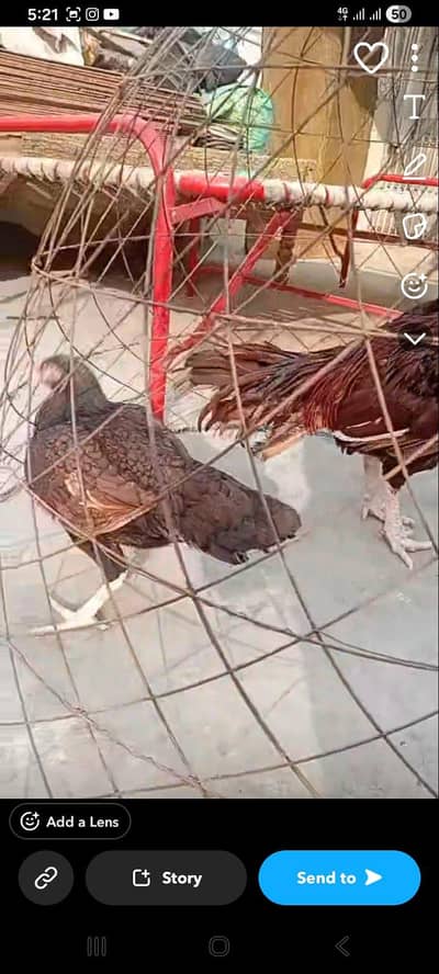 A1 asell 0.3. 1.3. 0.4. 0.9. 0.0. 0.