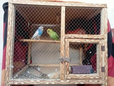 breader pair with Cage