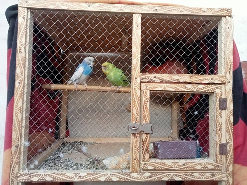 breader pair with Cage 0