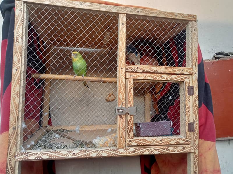 breader pair with Cage 3