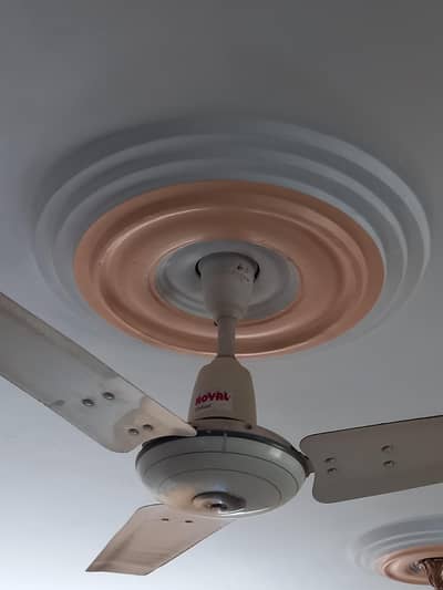 Ceiling Fan