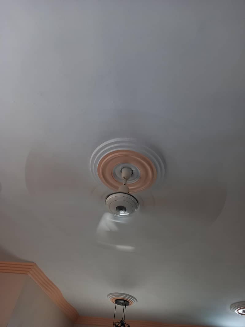 Ceiling Fan 1