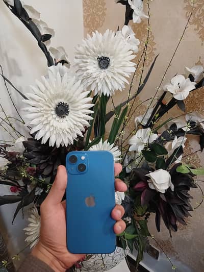 Iphone 13 non pta jv