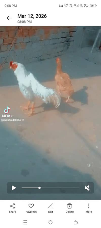 bhi jaldi rabta Karen Jo add deakh rha ha low price ma lajia